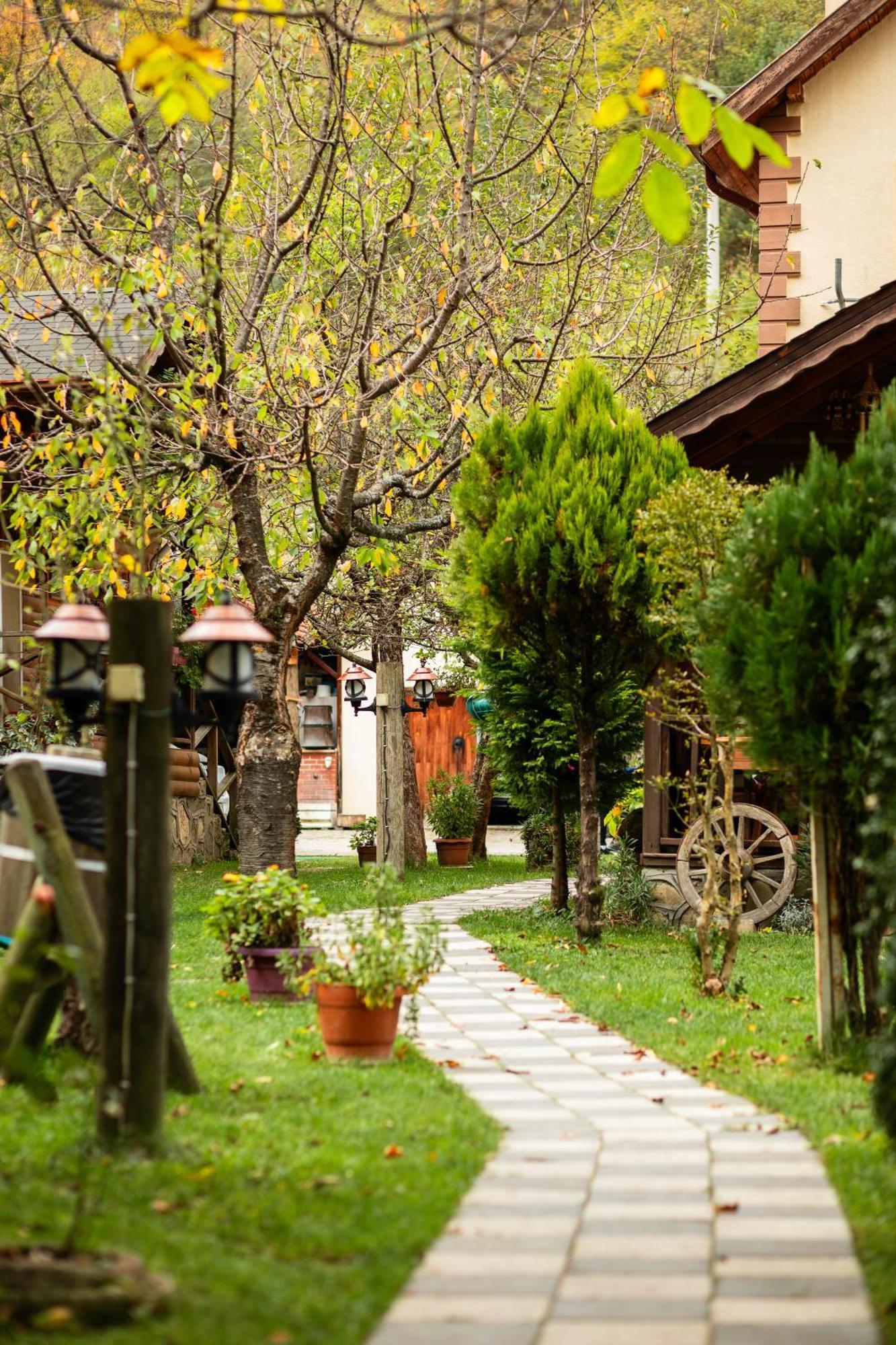 Doğa Köşkü Abant Bungalow Evleri Bolu Exterior foto